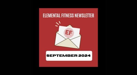 Newsletter: September 2024